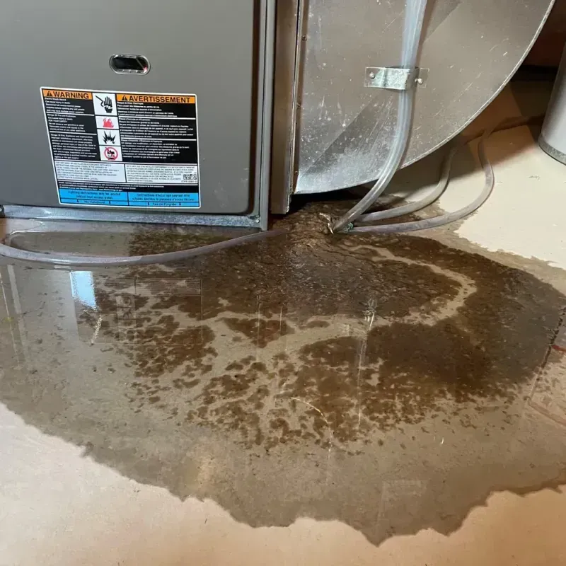 Appliance Leak Cleanup in Cherryvale, KS